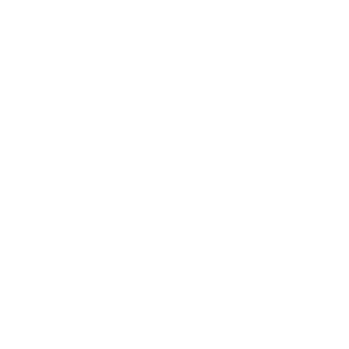 BESTIA-DOG-SPORT-1